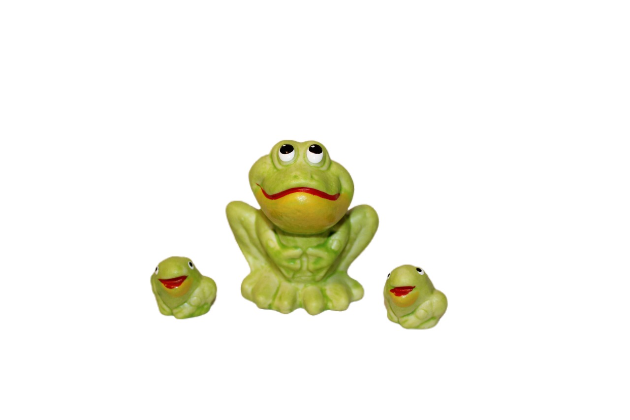 Família de Sapo Pimenta