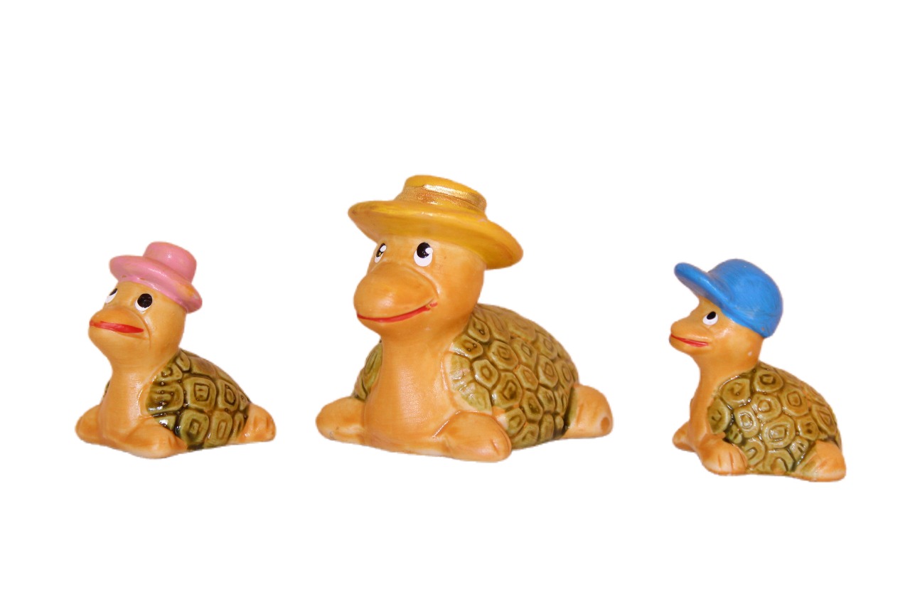 Família de Tartaruga Chapéu