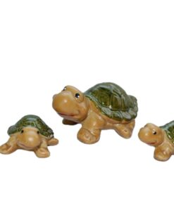 Família de Tartaruga Nova