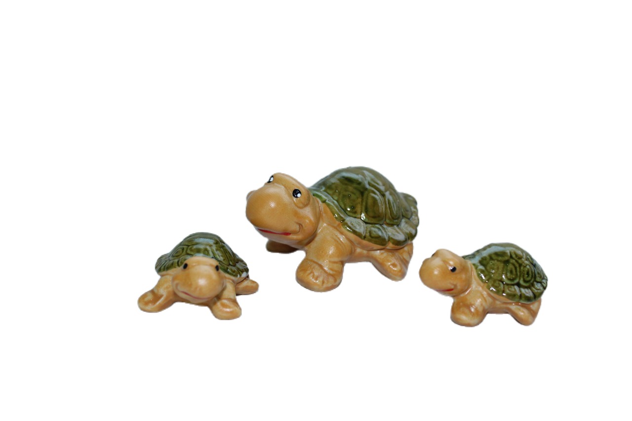 Família de Tartaruga Nova