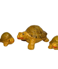 Família de Tartaruga Velha