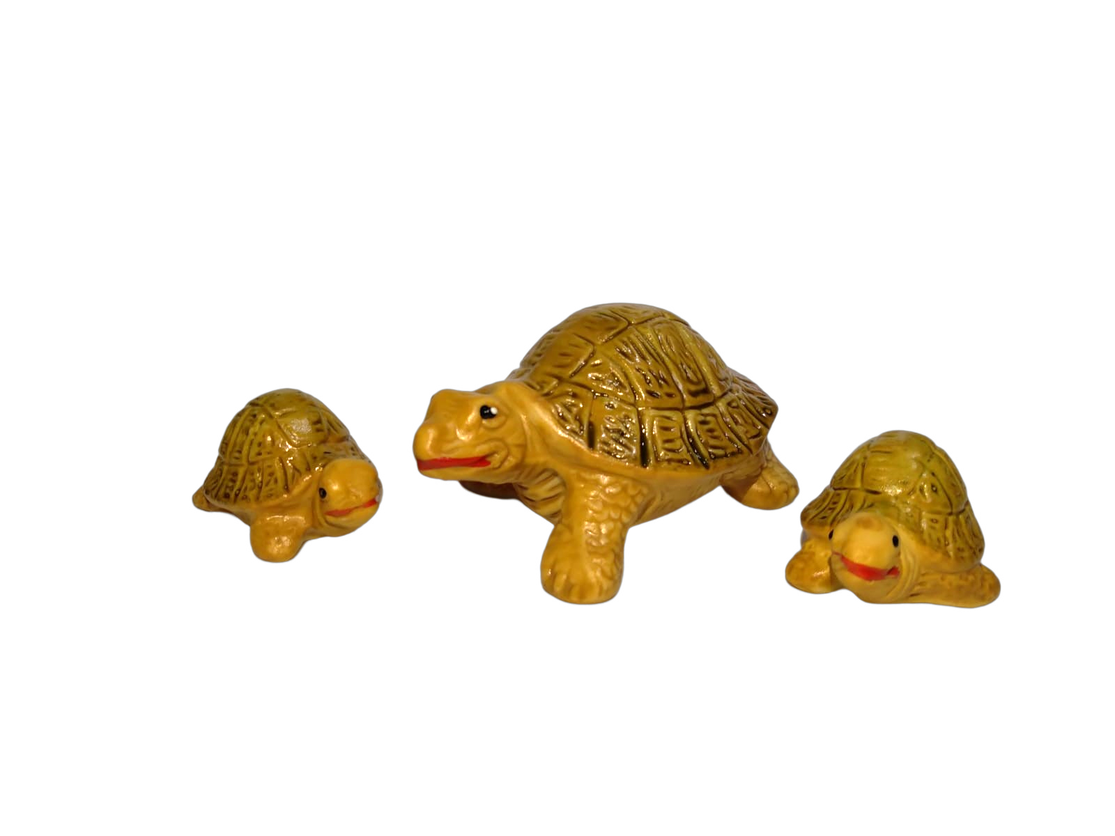 Família de Tartaruga Velha