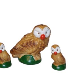 Família Coruja Nova