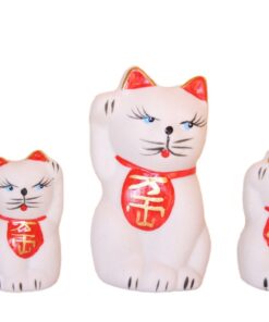 Família de Gato Chinês