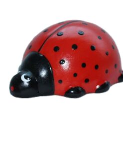 Família de Joaninha