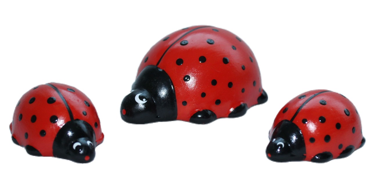 Família de Joaninha