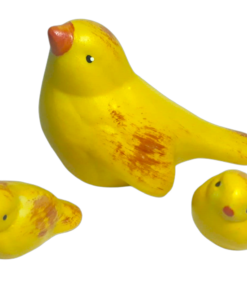 Família de Passarinho