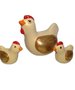 Família de Galinha Nova