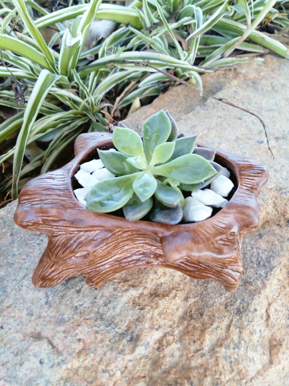 Cachepot Tronco - Imagem 2