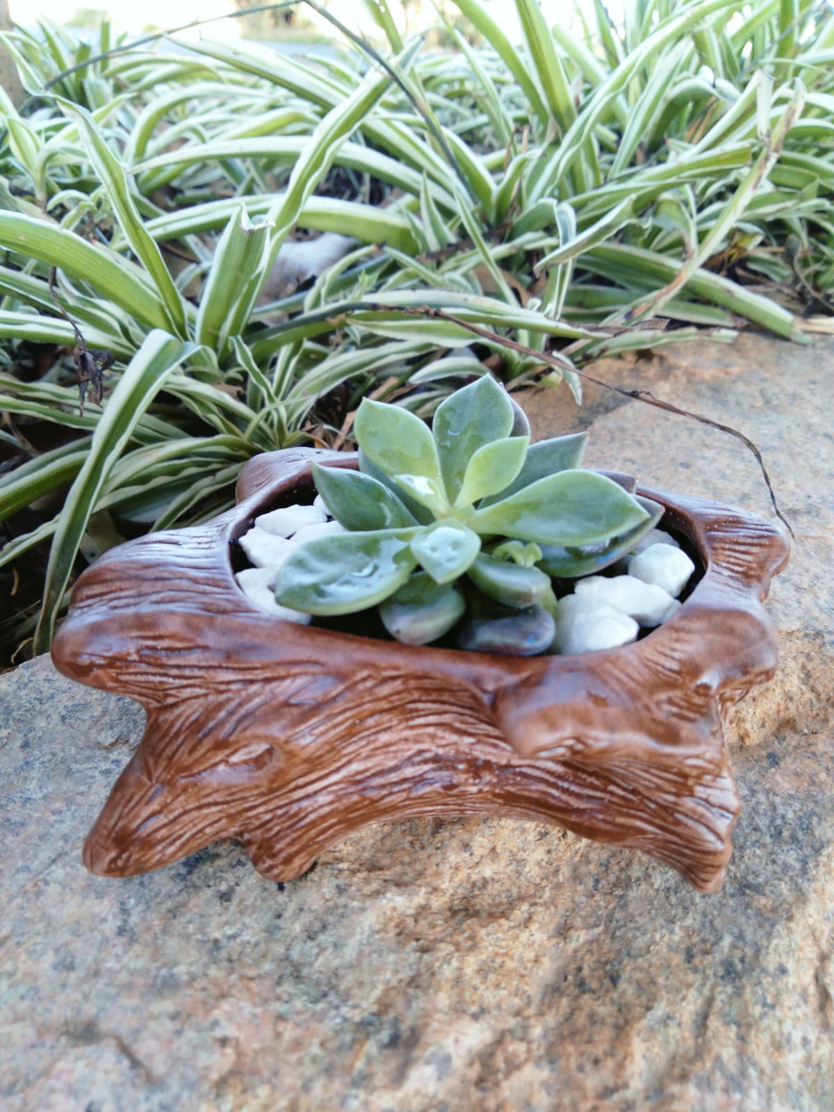 Cachepot Tronco - Imagem 3