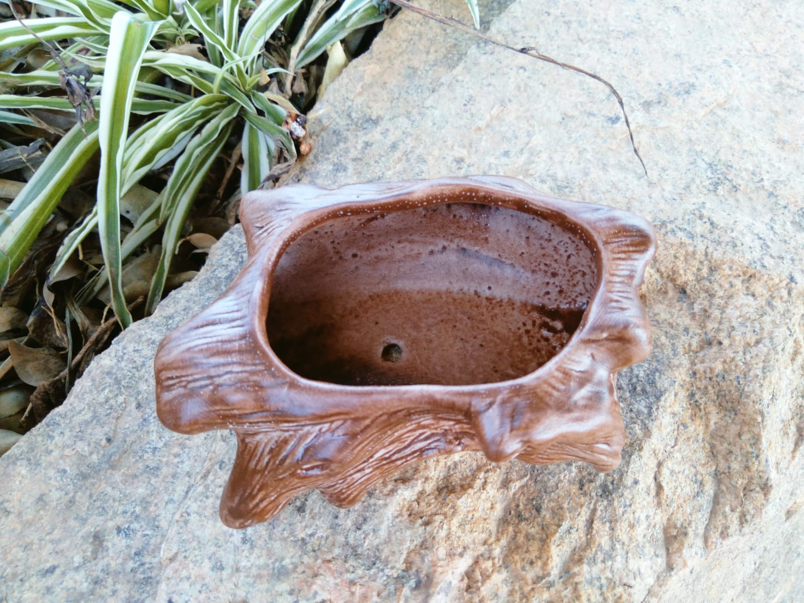 Cachepot Tronco - Imagem 7